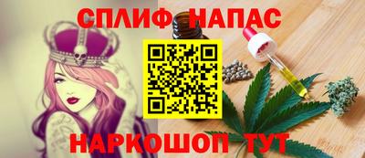 мет Кингисепп