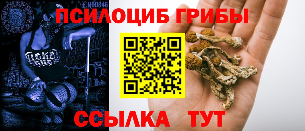 Галлюциногенные грибы мухоморы  Псилоцибиновые грибы Psilocybine cubensis  Вход с VPN  Кизилюрт 