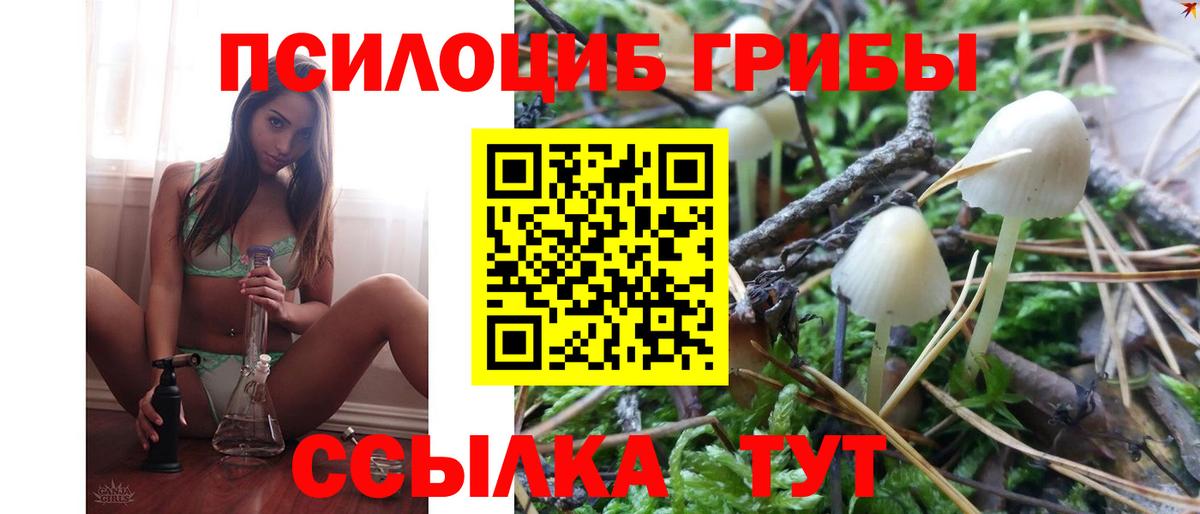 Псилоцибиновые грибы мицелий Кизилюрт